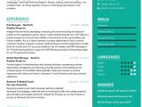 Sample Resume for Healthcare Risk Managers Risk Manager Resume Example 2022 Writing Tips – Resumekraft