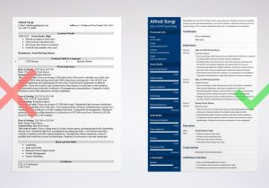 Sample Resume for Heavy Truck Driver Truck Driver Resume Sample: Objective, Skills, Job Description
