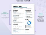 Sample Resume for Hi Lo Driver Job-winning Driver Resume Examples, Samples & Tips Enhancv …
