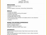 Sample Resume for Highschool Students with Volunteer Experience Resume High School Student New 5 Cv Template for High School …