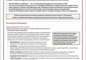 Sample Resume for Hr Business Partner Bilingual Senior Human Resources Advisor