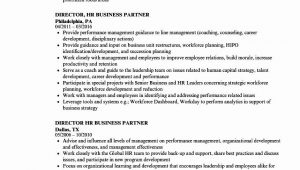Sample Resume for Hr Business Partner Hr Business Partner Resume Elegant Director Hr Business Partner …