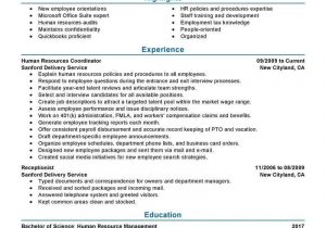 Sample Resume for Human Services Position 20 Best Human Resources Resume Ideas Human Resources Resume …