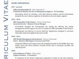 Sample Resume for Identity and Access Management 80 Beautiful Photos Of Hr Resume Examples 2016