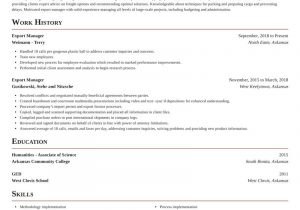 Sample Resume for Import Export Executive Export Manager Resume Writer & Example Rocket Resume