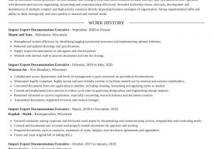 Sample Resume for Import Export Executive Import Export Documentation Executive Resume Writer & Example