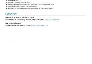 Sample Resume for Insurance Branch Manager Loan Manager Resume Sample 2021 Writing Tips – Resumekraft