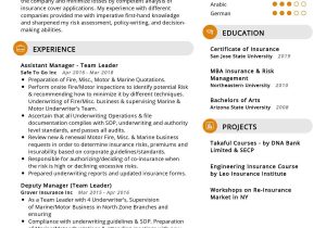 Sample Resume for Insurance Branch Manager Marketing & Sales Resume Archives – the Poetry House
