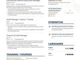 Sample Resume for Insurance Branch Manager top Audit Manager Resume Examples & Samples for 2021 Enhancv.com
