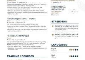 Sample Resume for Insurance Branch Manager top Audit Manager Resume Examples & Samples for 2021 Enhancv.com