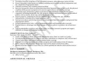 Sample Resume for Insurance Sales Manager Ams Health Insurance Resume Examples, Sales Resume, Sales Resume …