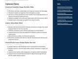 Sample Resume for Investment Banking Analyst Investment Banker Resume Examples & Writing Tips 2021 (free Guide)