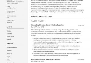 Sample Resume for It Director Position Managing Director Resume & Writing Guide  12 Examples Pdf
