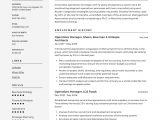 Sample Resume for It Manager Position It Operations Manager Resume Sample Pdf September 2021