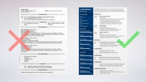 Sample Resume for It Manager Position Manager Resume Examples [skills, Job Description]