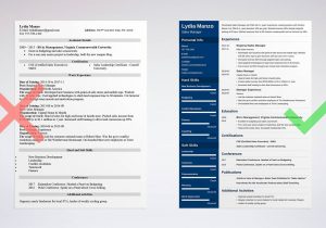Sample Resume for It Manager Position Manager Resume Examples [skills, Job Description]
