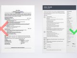 Sample Resume for It Professionals In Usa format the 3 Best Resume formats to Use In 2022 (examples)