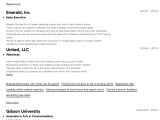 Sample Resume for It Sales Executive Sales Executive Resume Samples All Experience Levels Resume …