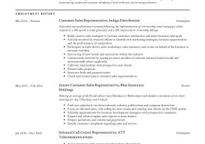 Sample Resume for It Sales Professional Guide: Customer Sales Representative Resume  12 Samples Pdf 2022