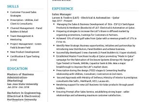 Sample Resume for It Sales Professional Sales Manager Cv Example 2022 Writing Tips – Resumekraft
