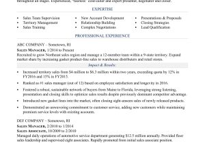 Sample Resume for It Sales Professional Sales Manager Resume Sample Monster.com