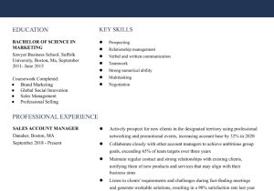 Sample Resume for It Senior Manager Senior Account Manager Resume Examples In 2022 – Resumebuilder.com