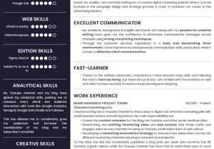 Sample Resume for It Students with No Experience  10 Cv Examples for Students to Stand Out even without Experience