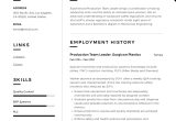 Sample Resume for It Team Leader Full Guide: Production Team Leader Resume 12 Examples