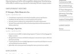 Sample Resume for It Team Leader It Manager Resume Examples & Writing Tips 2022 (free Guide)