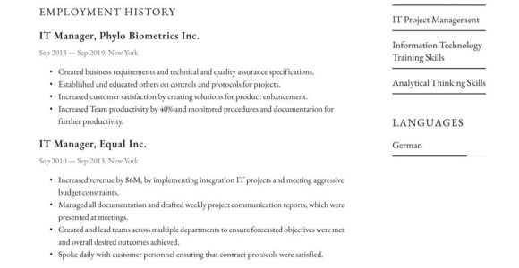 Sample Resume for It Team Leader It Manager Resume Examples & Writing Tips 2022 (free Guide)