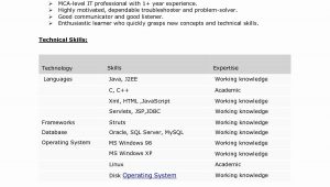 Sample Resume for Java Developer 7 Year Experience 7 Years Experience Resume format – Resume format Resume Writing …