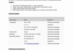 Sample Resume for Java Developer 7 Year Experience 7 Years Experience Resume format – Resume format Resume Writing …