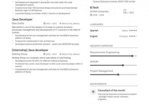 Sample Resume for Java Developer 7 Year Experience Junior Java Developer Resume Examples   Expert Advice Enhancv.com
