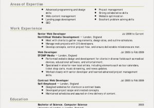 Sample Resume for Java Developer Fresher Sample Resume for Java Developer Fresher Inspirational Elegant …