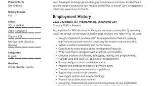 Sample Resume for Java Developer with 2 Years Experience Java Developer Resume & Writing Guide  20 Templates