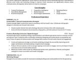 Sample Resume for Job within Same Company Advertising & Marketing Resume Sample Professional Resume …