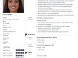 Sample Resume for Jobs In India Best Cv / Curriculum Vitae format for Jobs In India   Sample