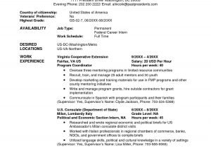 Sample Resume for Jobs In Usa Resume format for Usa Jobs , #format #resume #resumeformat …