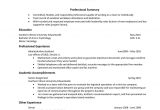 Sample Resume for Jobs In Usa U S Resume format Professional – Resume format Job Resume …