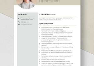 Sample Resume for Judicial Clerkship Nj Clerk Resume Templates – Design, Free, Download Template.net