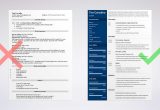 Sample Resume for Junior In College College Resume Template for High School Students (2022)