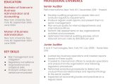 Sample Resume for Junior Internal Auditor Auditor Resume Examples In 2022 – Resumebuilder.com