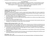 Sample Resume for Junior Internal Auditor Auditor Resume Sample Monster.com