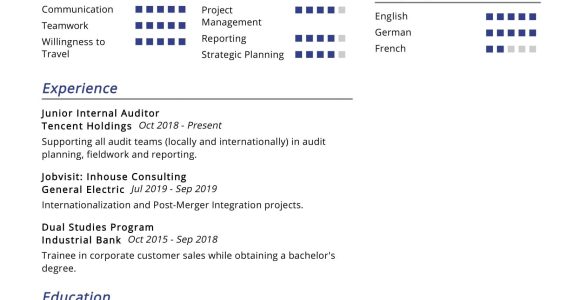 Sample Resume for Junior Internal Auditor Group Internal Auditor Resume Sample 2022 Writing Tips – Resumekraft