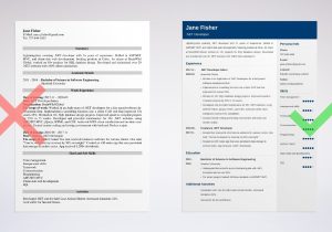 Sample Resume for Junior Level Developer On C C Net Developer Resume Samples [experienced & Entry Level]