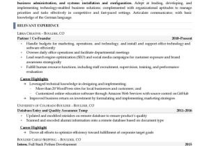 Sample Resume for Junior software Engineer Junior software Engineer Resume Example Resume Professional Writers