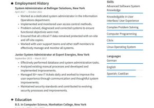 Sample Resume for Junior System Administrator System Administrator Resume Examples & Writing Tips 2022 (free Guide)