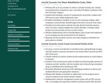 Sample Resume for Juvenile Detention Officer Juvenile Counselor Resume Examples & Writing Tips 2022 (free Guide)
