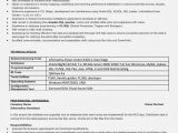 Sample Resume for L1 Visa Application H1b Resume Sample October 2021