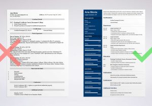 Sample Resume for Law Clerk Personal Injury Legal assistant Resume Examples 2022 (with Job Description)